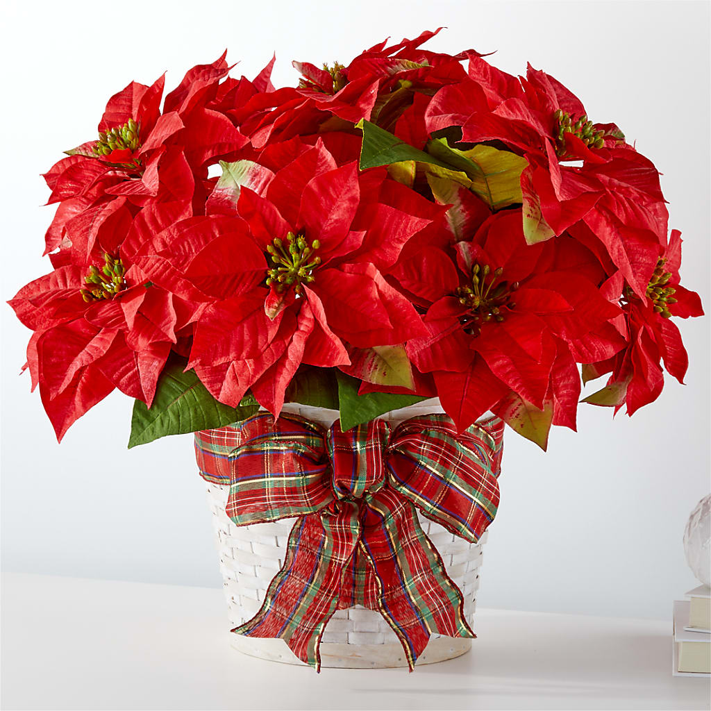 Happiest Holidays Poinsettia – Lasting Impressions Flowers Llc, Flemingsburg KY