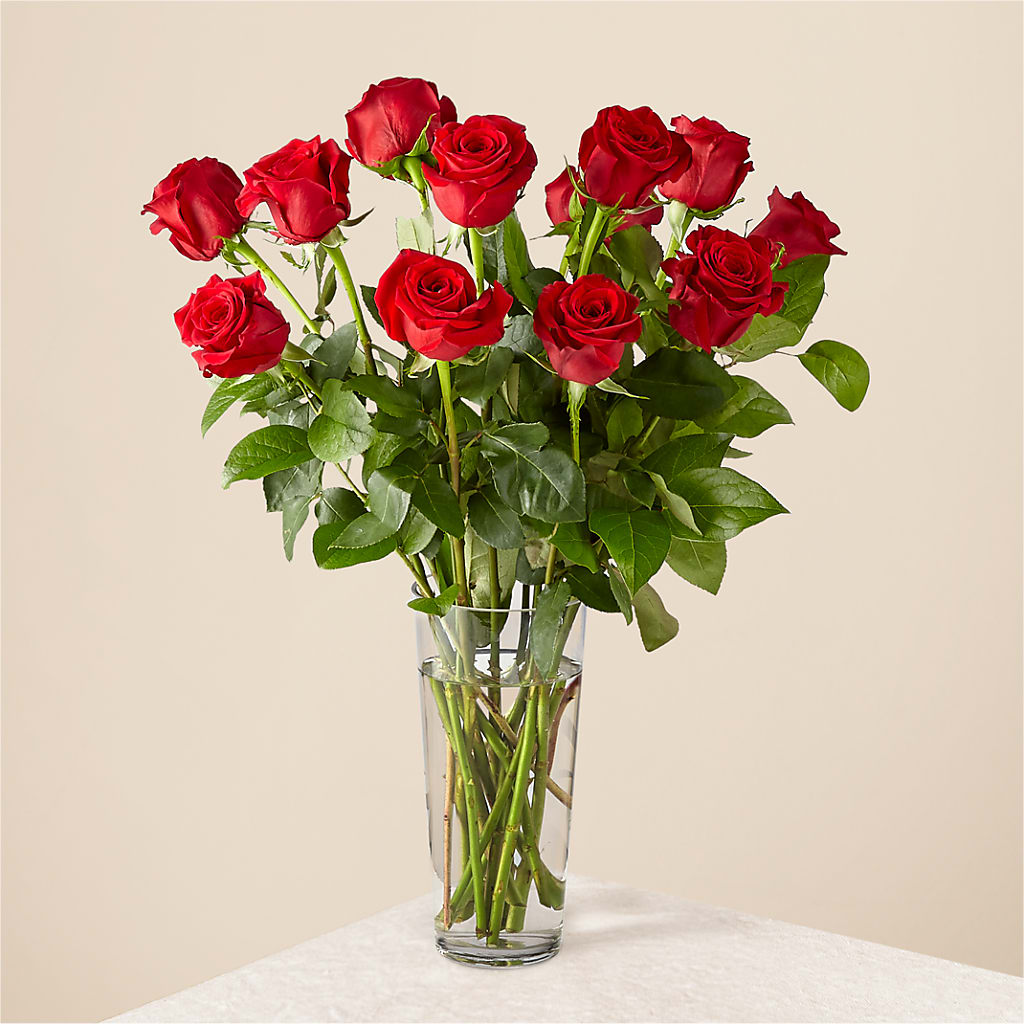 Long Stem Red Rose Bouquet – Lasting Impressions Flowers Llc, Flemingsburg KY
