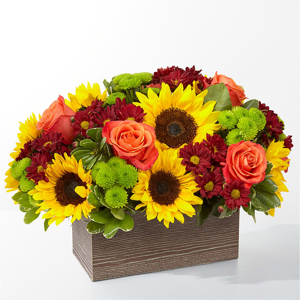 Happy Harvest Garden – Lasting Impressions Flowers Llc, Flemingsburg KY