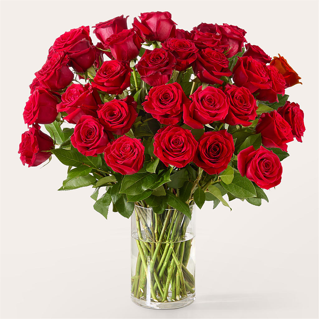 The One Red Rose Bouquet – Lasting Impressions Flowers Llc, Flemingsburg KY