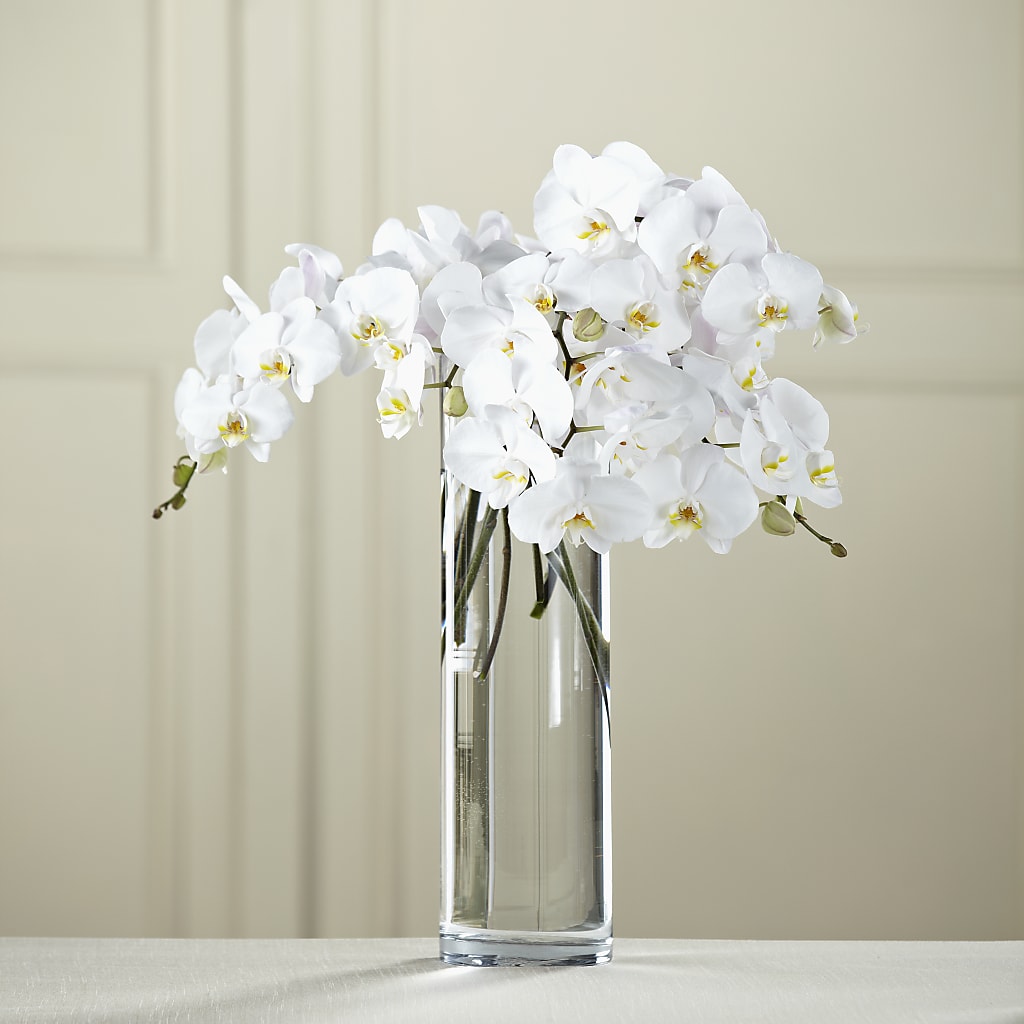 White Phalaenopsis Bouquet – Lasting Impressions Flowers Llc, Flemingsburg KY