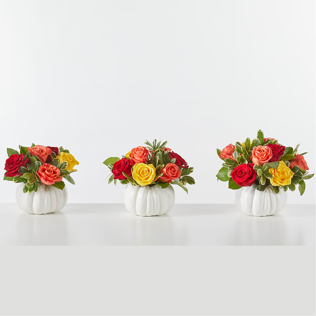 Gourd of Gratitude –  Lasting Impressions Flowers Llc, Flemingsburg KY