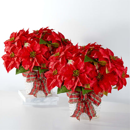 Happiest Holidays Poinsettia Bundle –  Lasting Impressions Flowers Llc, Flemingsburg KY