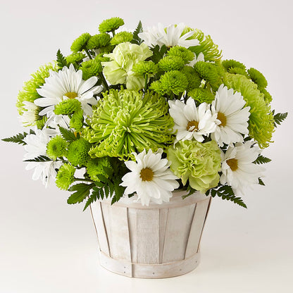 Lucky Charm Basket (Standard) –  Lasting Impressions Flowers Llc, Flemingsburg KY