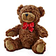 Adorable Plush Bear –  Lasting Impressions Flowers Llc, Flemingsburg KY