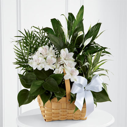 Peace & Serenity Dishgarden –  Lasting Impressions Flowers Llc, Flemingsburg KY