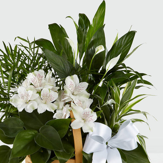 Peace & Serenity Dishgarden –  Lasting Impressions Flowers Llc, Flemingsburg KY