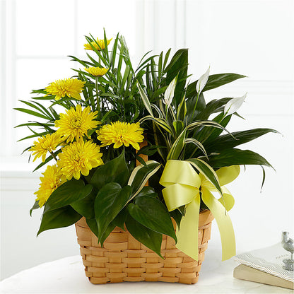 Loving Light Dishgarden –  Lasting Impressions Flowers Llc, Flemingsburg KY
