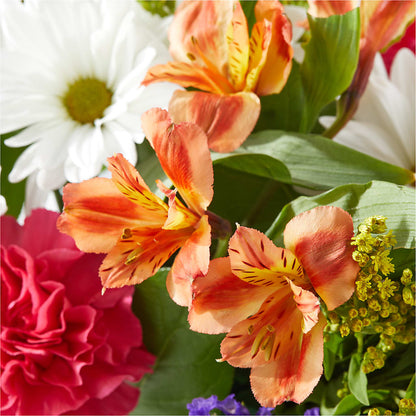 Oopsie Daisy Box Bouquet –  Lasting Impressions Flowers Llc, Flemingsburg KY