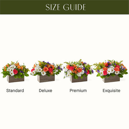 Oopsie Daisy Box Bouquet –  Lasting Impressions Flowers Llc, Flemingsburg KY