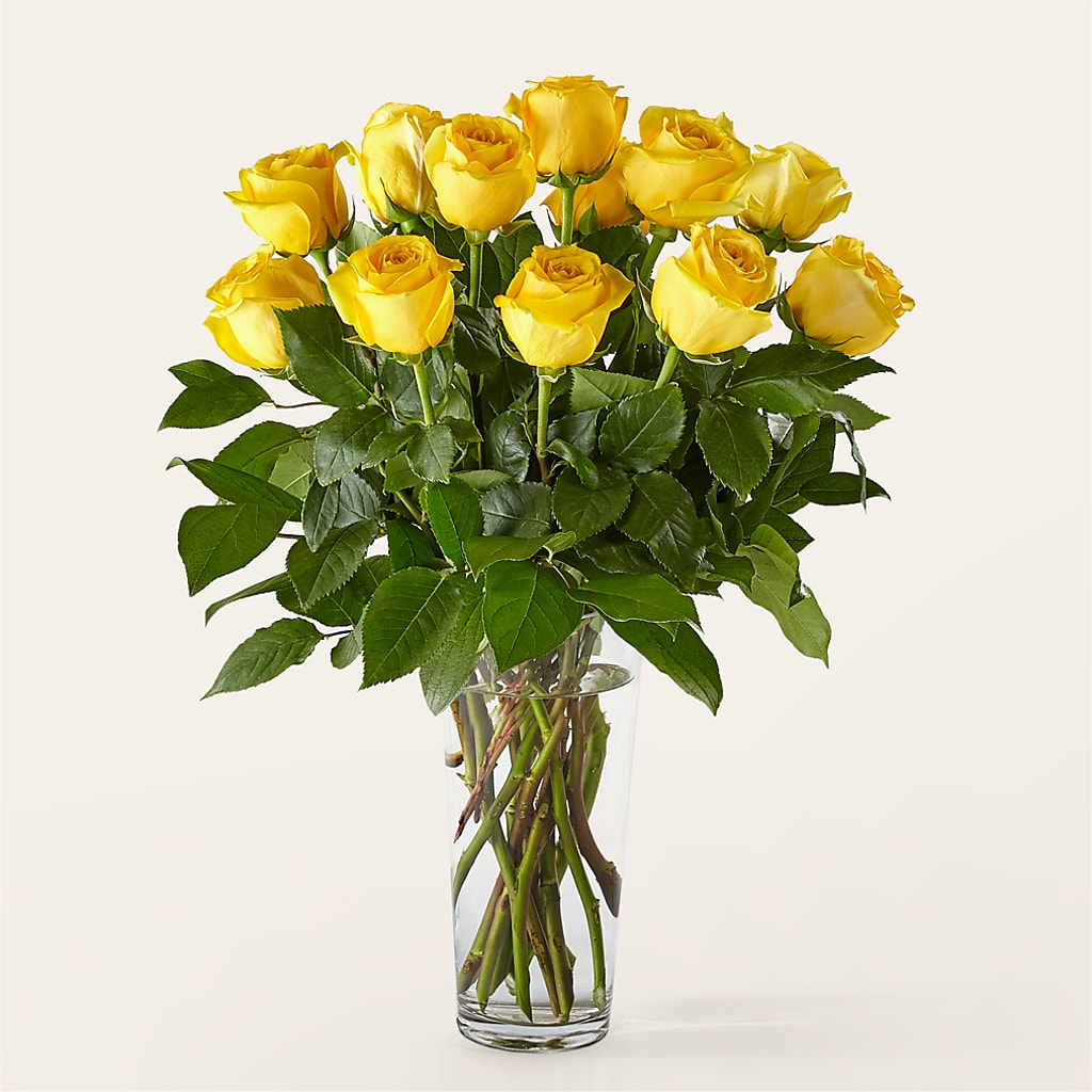 Long Stem Yellow Rose Bouquet –  Lasting Impressions Flowers Llc, Flemingsburg KY