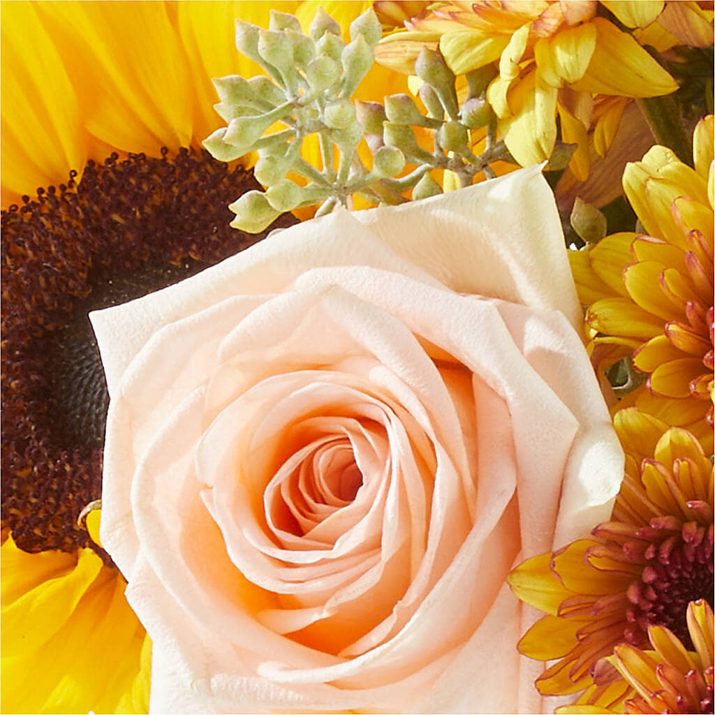 Pumpkin to Talk About Bouquet –  Lasting Impressions Flowers Llc, Flemingsburg KY