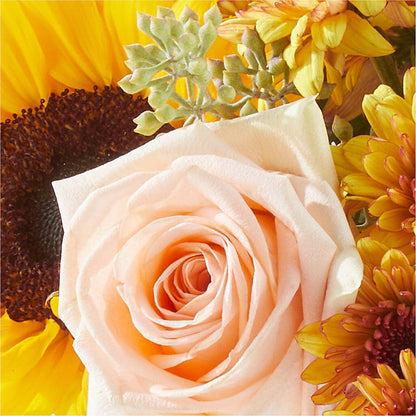 Pumpkin to Talk About Bouquet –  Lasting Impressions Flowers Llc, Flemingsburg KY
