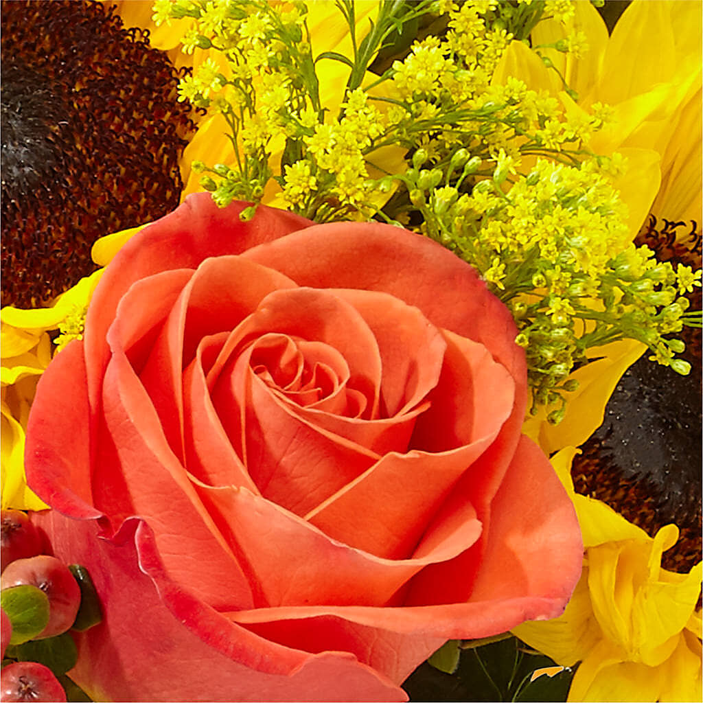 Pick of the Patch Pumpkin Bouquet –  Lasting Impressions Flowers Llc, Flemingsburg KY