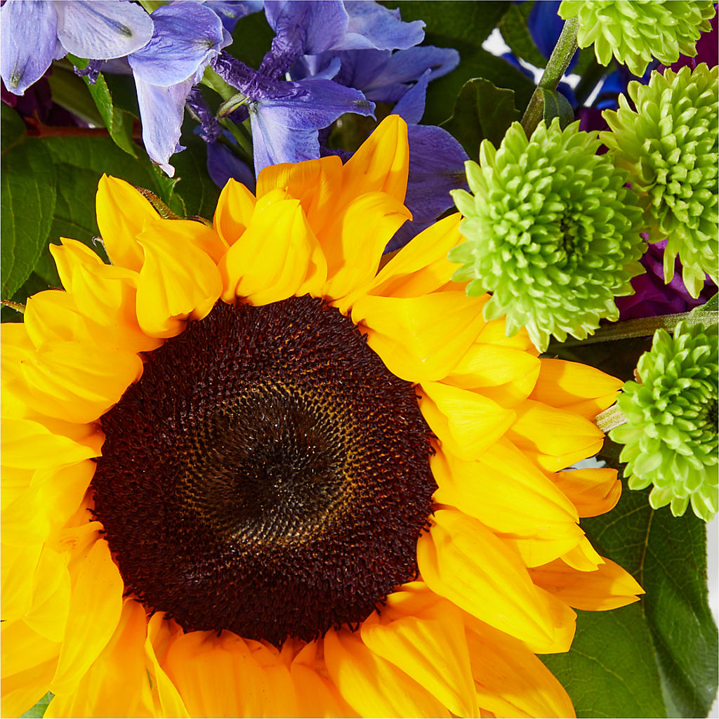 Catching Rays Bouquet –  Lasting Impressions Flowers Llc, Flemingsburg KY