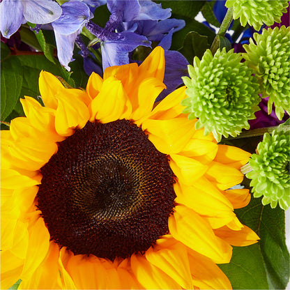 Catching Rays Bouquet –  Lasting Impressions Flowers Llc, Flemingsburg KY