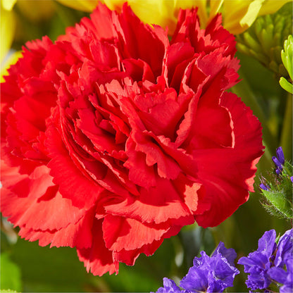 Brighter Days Bouquet –  Lasting Impressions Flowers Llc, Flemingsburg KY
