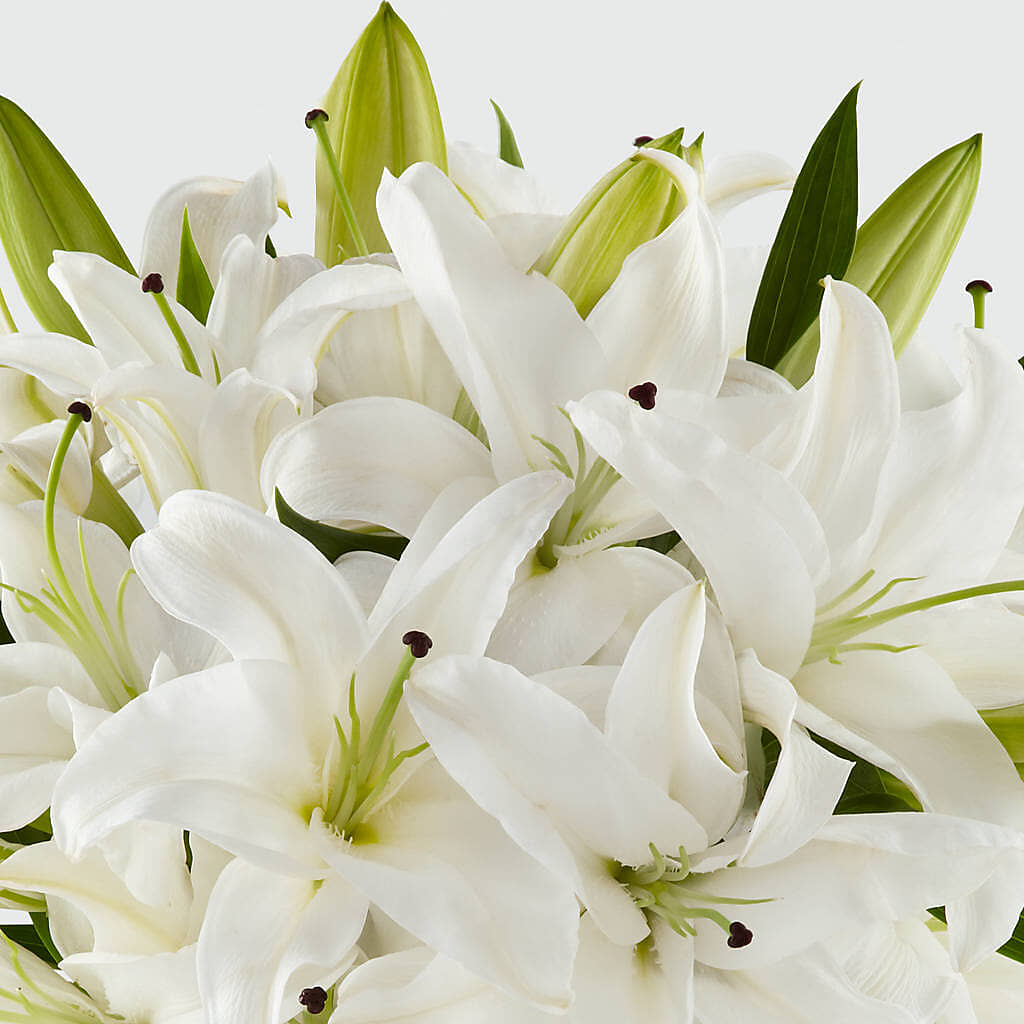 Faithful Blessings Bouquet –  Lasting Impressions Flowers Llc, Flemingsburg KY