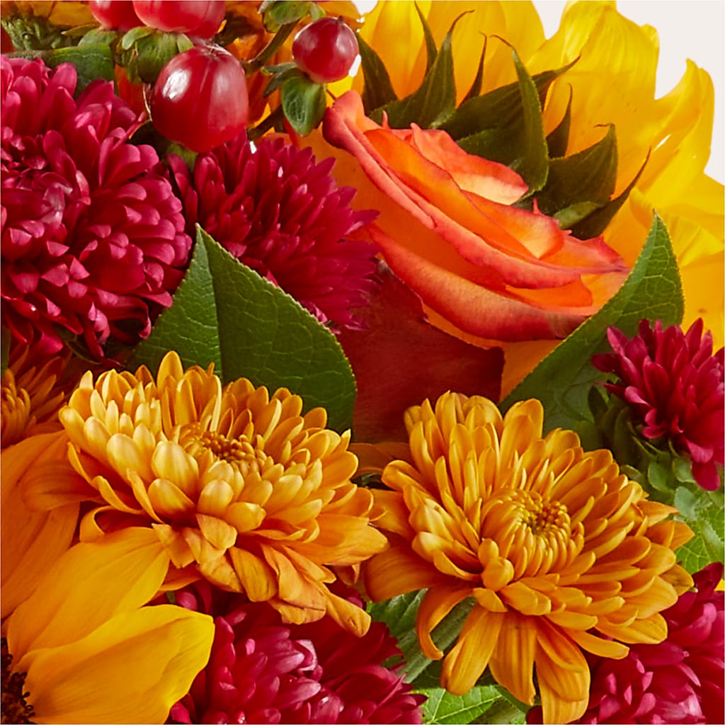 Sweater Season - A Florist Original –  Lasting Impressions Flowers Llc, Flemingsburg KY