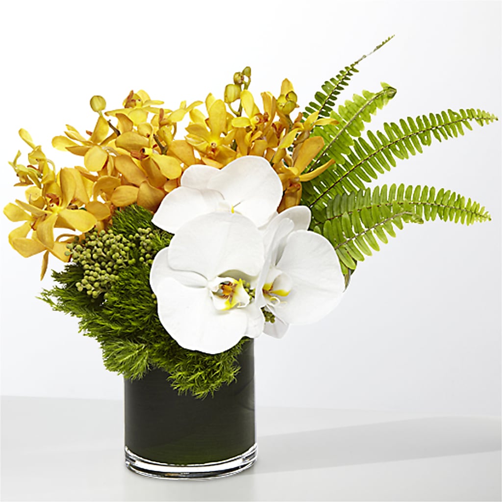 The Tropics –  Lasting Impressions Flowers Llc, Flemingsburg KY