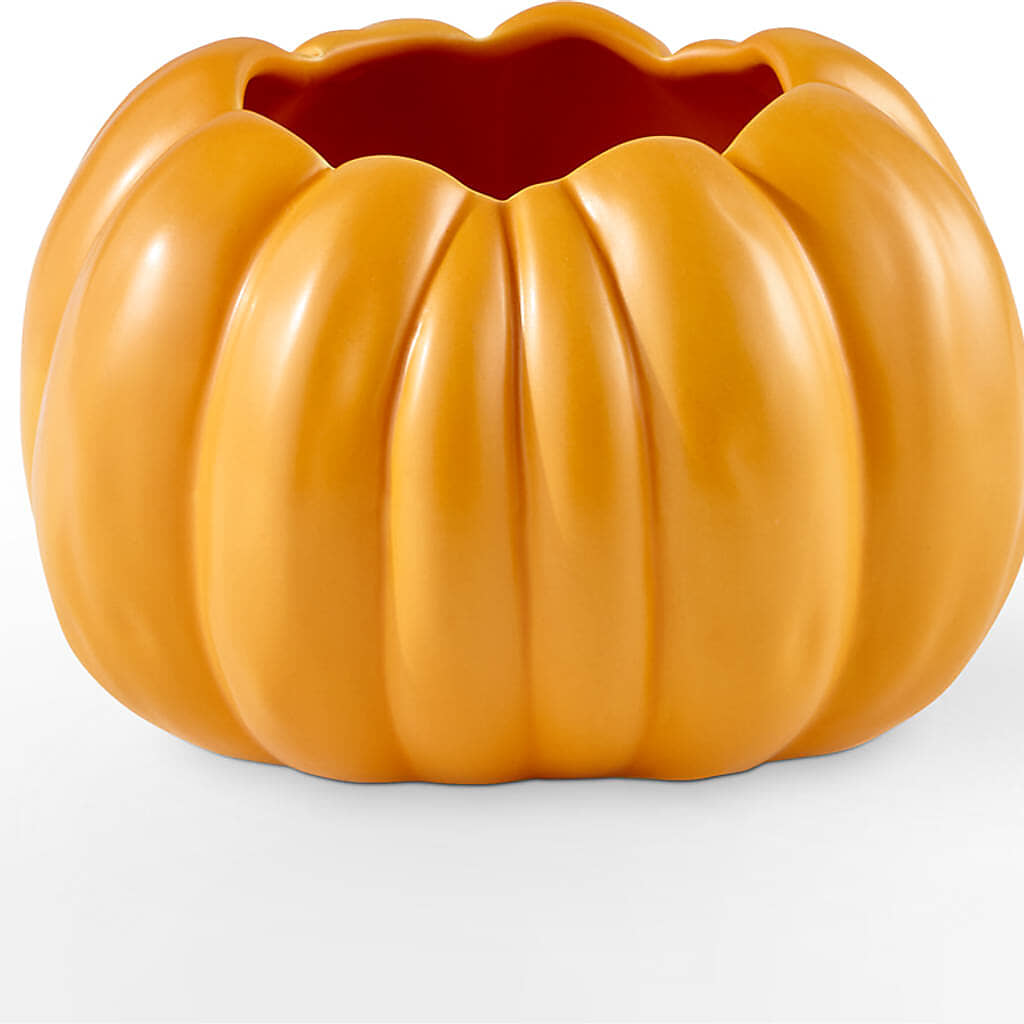 Pick of the Patch Pumpkin Bouquet –  Lasting Impressions Flowers Llc, Flemingsburg KY