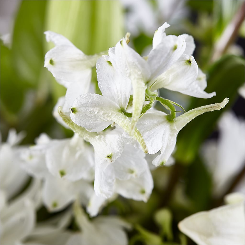 Classic Ivory – A Florist Original –  Lasting Impressions Flowers Llc, Flemingsburg KY