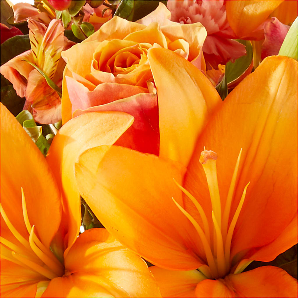 Afternoon Light Bouquet –  Lasting Impressions Flowers Llc, Flemingsburg KY
