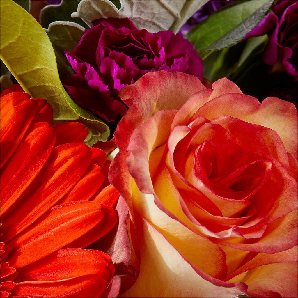 Sangria Bouquet –  Lasting Impressions Flowers Llc, Flemingsburg KY