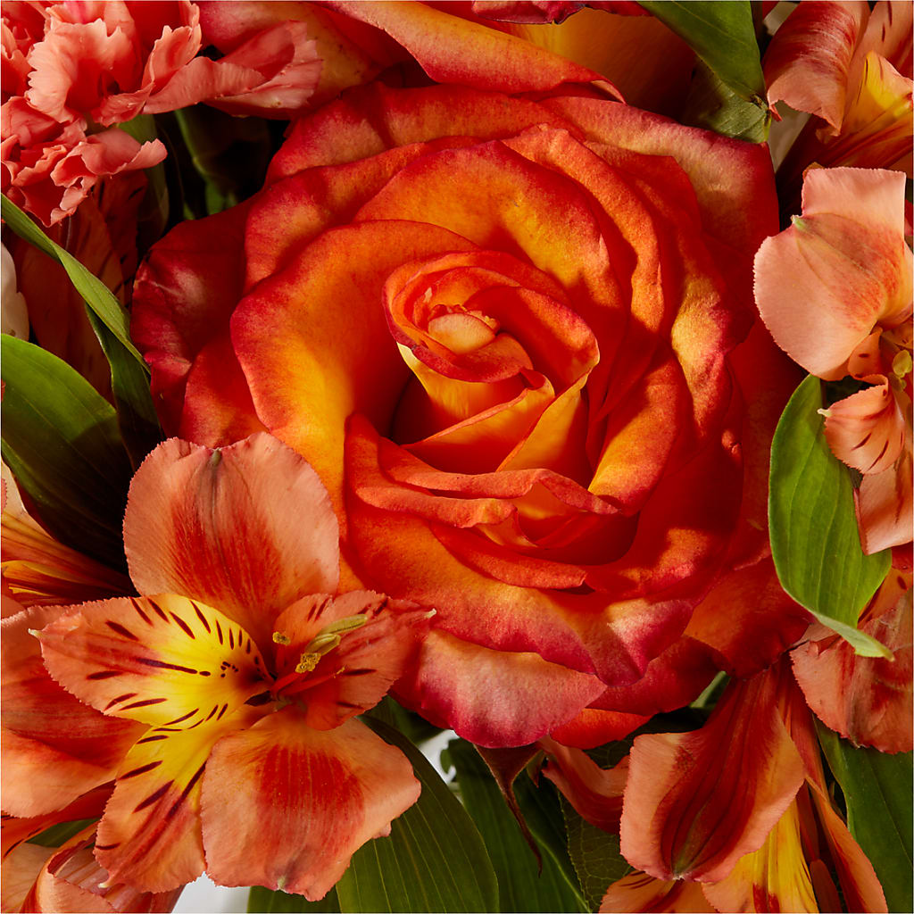 Apricot Glow Bouquet –  Lasting Impressions Flowers Llc, Flemingsburg KY