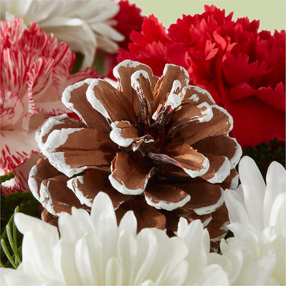 Candy Cane Lane Bouquet –  Lasting Impressions Flowers Llc, Flemingsburg KY