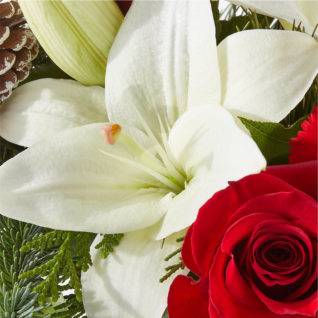 Oh So Jolly Bouquet –  Lasting Impressions Flowers Llc, Flemingsburg KY