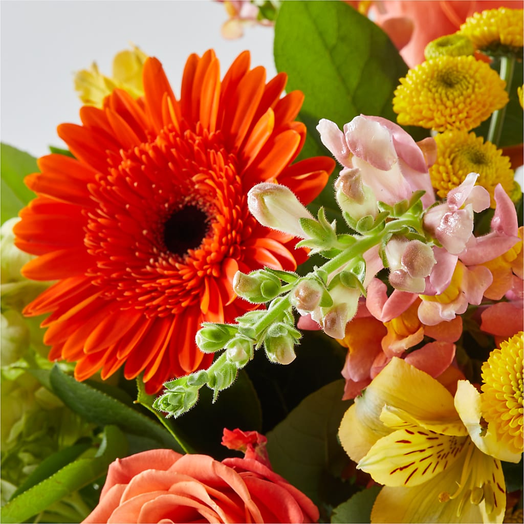Autumn Sunshine Bouquet –  Lasting Impressions Flowers Llc, Flemingsburg KY