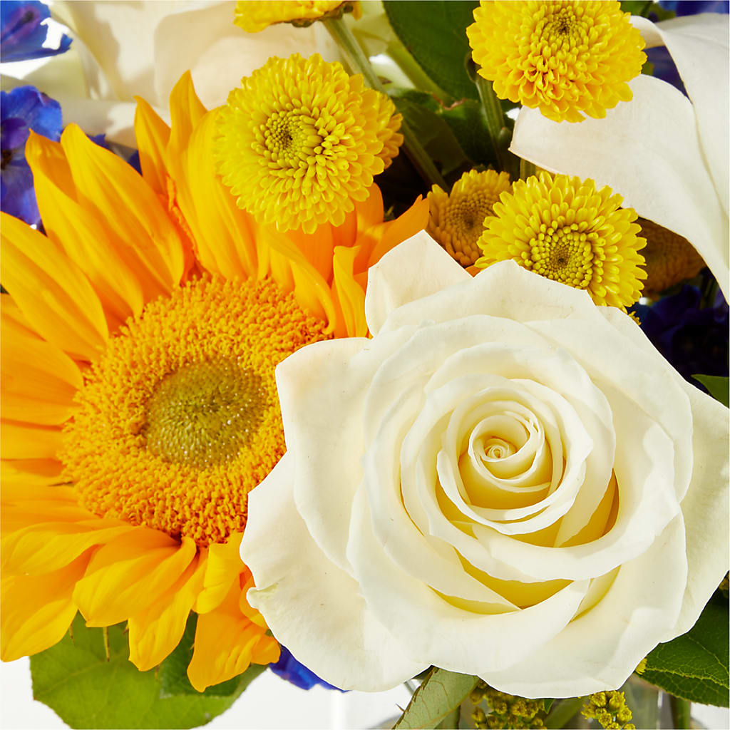 Stargazing Bouquet –  Lasting Impressions Flowers Llc, Flemingsburg KY