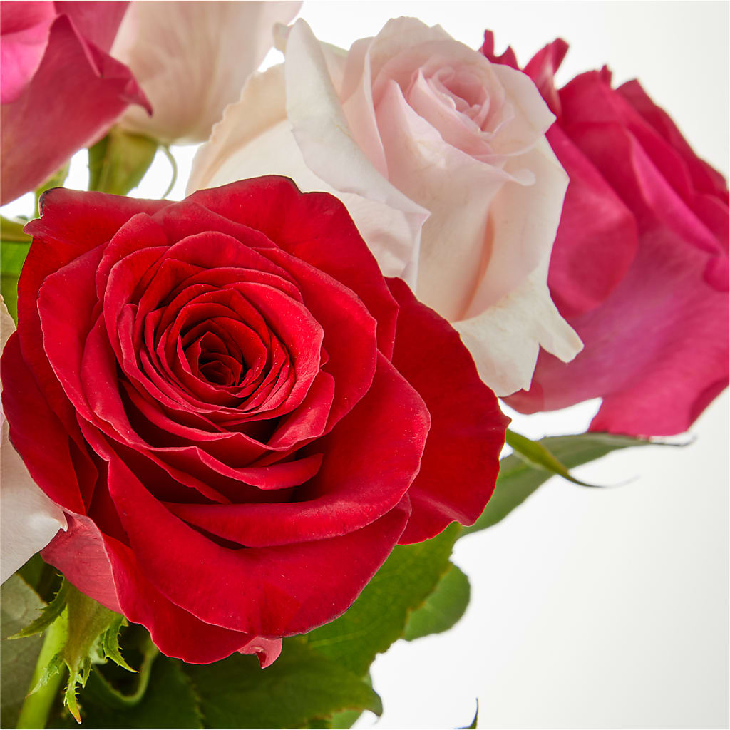 Charming Rose Bouquet –  Lasting Impressions Flowers Llc, Flemingsburg KY