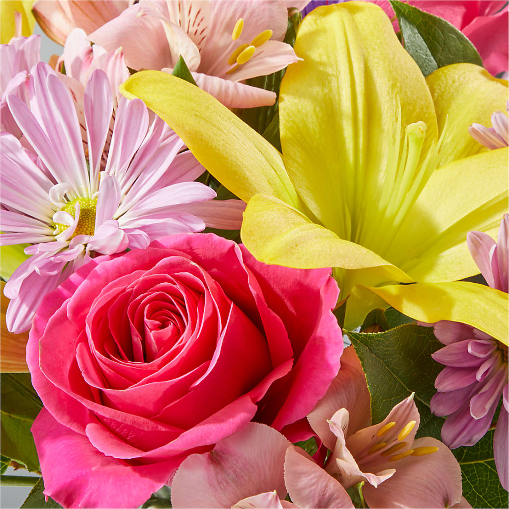 Sprinkles Bouquet –  Lasting Impressions Flowers Llc, Flemingsburg KY