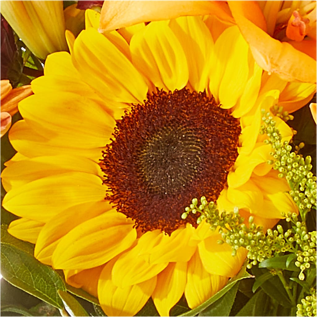 Seasons Change Bouquet –  Lasting Impressions Flowers Llc, Flemingsburg KY