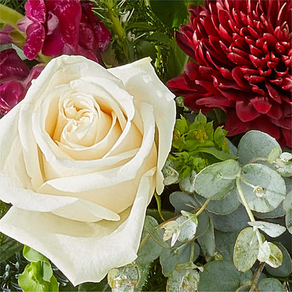 Cranberry Fizz Bouquet –  Lasting Impressions Flowers Llc, Flemingsburg KY