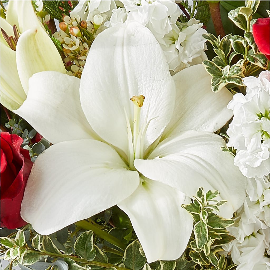 Twinkle Lights Bouquet –  Lasting Impressions Flowers Llc, Flemingsburg KY