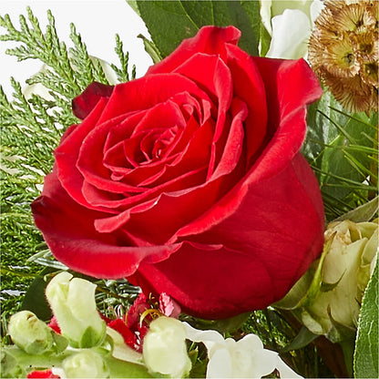Deck the Halls Bouquet –  Lasting Impressions Flowers Llc, Flemingsburg KY