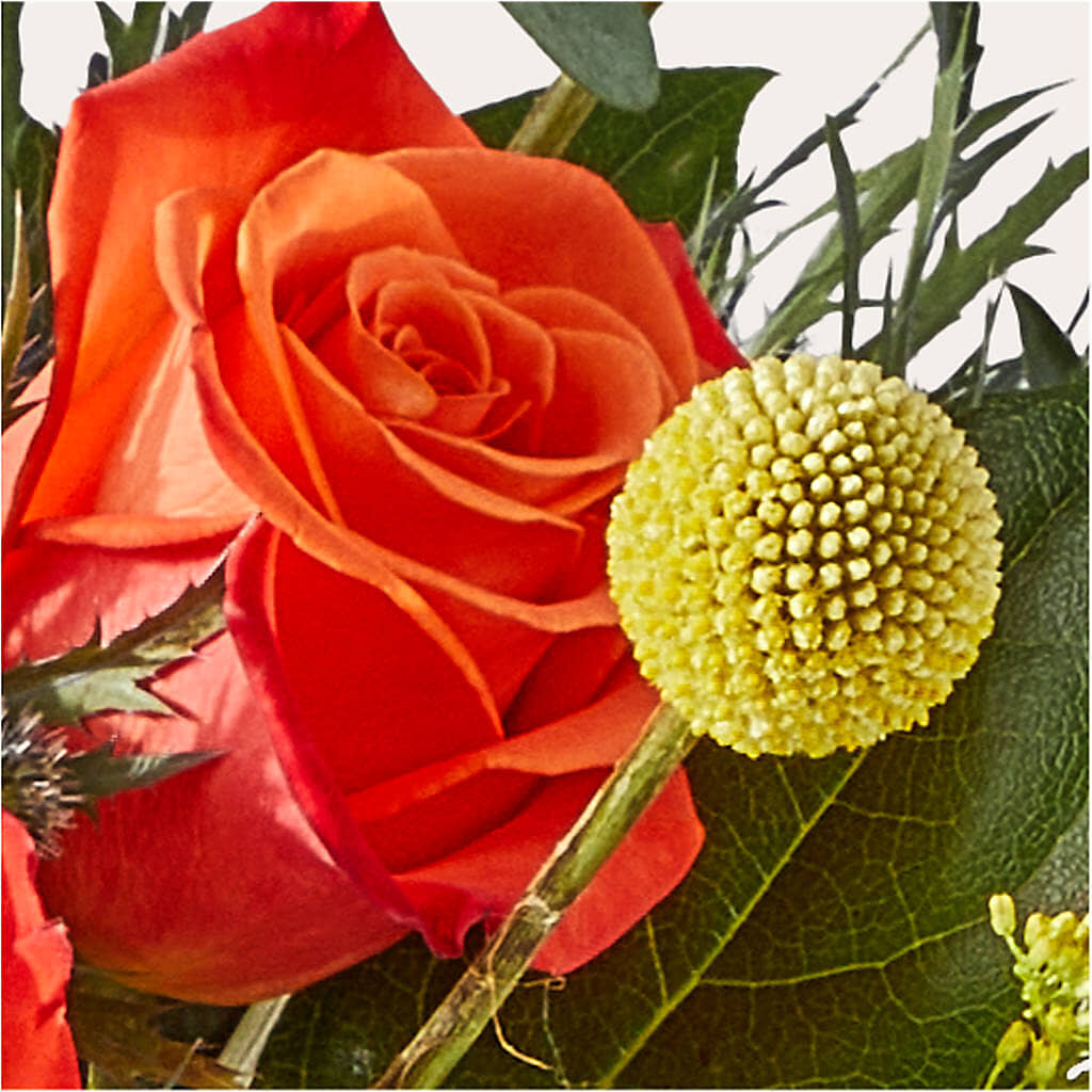 Disco Bouquet –  Lasting Impressions Flowers Llc, Flemingsburg KY