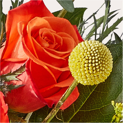 Disco Bouquet –  Lasting Impressions Flowers Llc, Flemingsburg KY