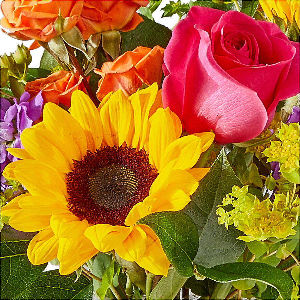 Vibrant Greetings Bouquet –  Lasting Impressions Flowers Llc, Flemingsburg KY
