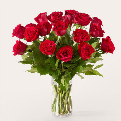 The One Red Rose Bouquet –  Lasting Impressions Flowers Llc, Flemingsburg KY
