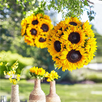 Sublime Garden Hanging Arrangement –  Lasting Impressions Flowers Llc, Flemingsburg KY