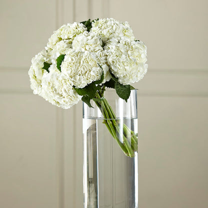 White Hydrangea Hand-Tied Bouquet –  Lasting Impressions Flowers Llc, Flemingsburg KY