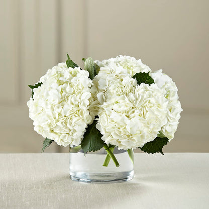 White Hydrangea Bouquet –  Lasting Impressions Flowers Llc, Flemingsburg KY