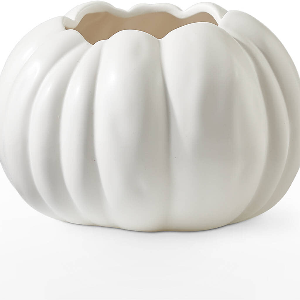 Pumpkin to Talk About Bouquet –  Lasting Impressions Flowers Llc, Flemingsburg KY