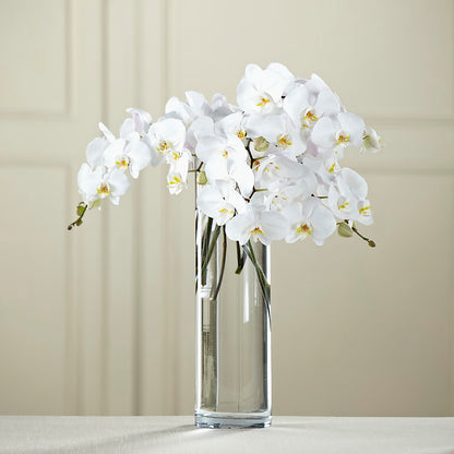White Phalaenopsis Bouquet –  Lasting Impressions Flowers Llc, Flemingsburg KY